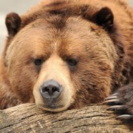 Давид Рампассо