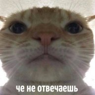 Анастасия Тей