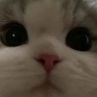 Нео Браун