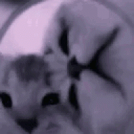 Леонид Верховный