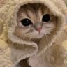 Саша Томских