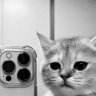 Леон Котов