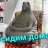 kiril841