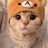 Дарья Котовская