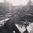 Alex_tarakanov_17